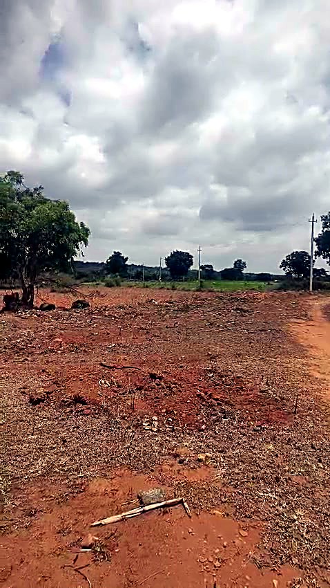 2 Acres Red-Soil Farmland in Gundlupet, Chamarajanagar