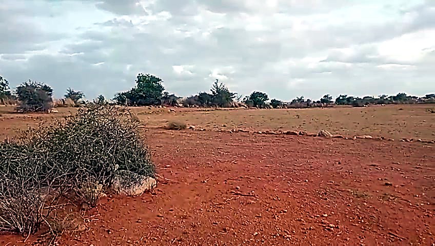 40 Acres Agricultural Land in Bagepalli, Chikkaballapura