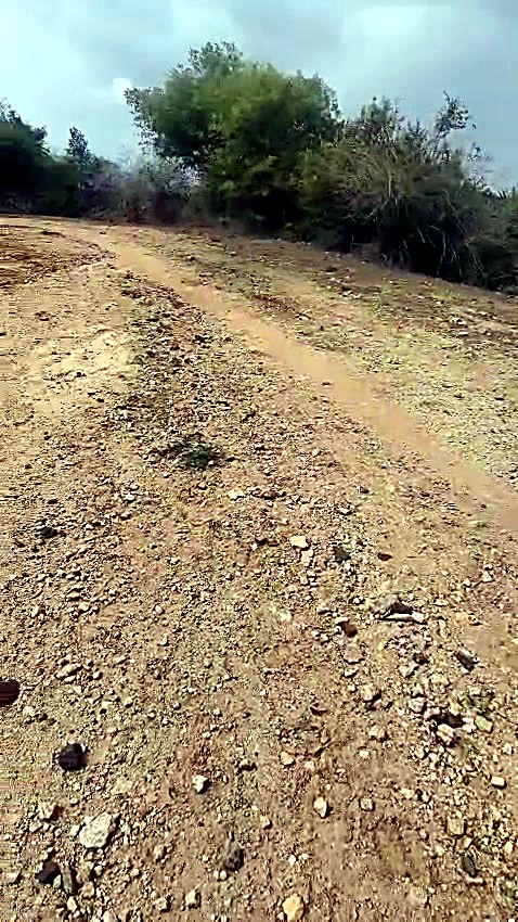 1 Acre 18 Guntas Farmland in Gundlupet, Chamarajanagar