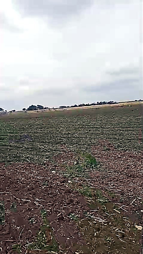 4,000 Acres Open Land in Kurnool, Andhra Pradesh