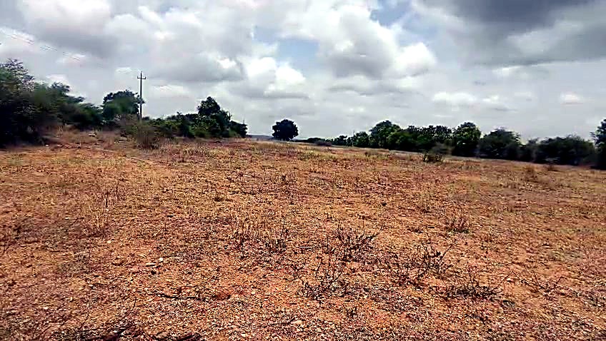 2 Acres Farmland near Chamarajanagar