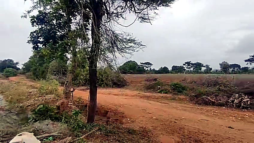 2 Acres 20 Guntas Irrigated Farmland in Gundlupet, Chamarajanagar