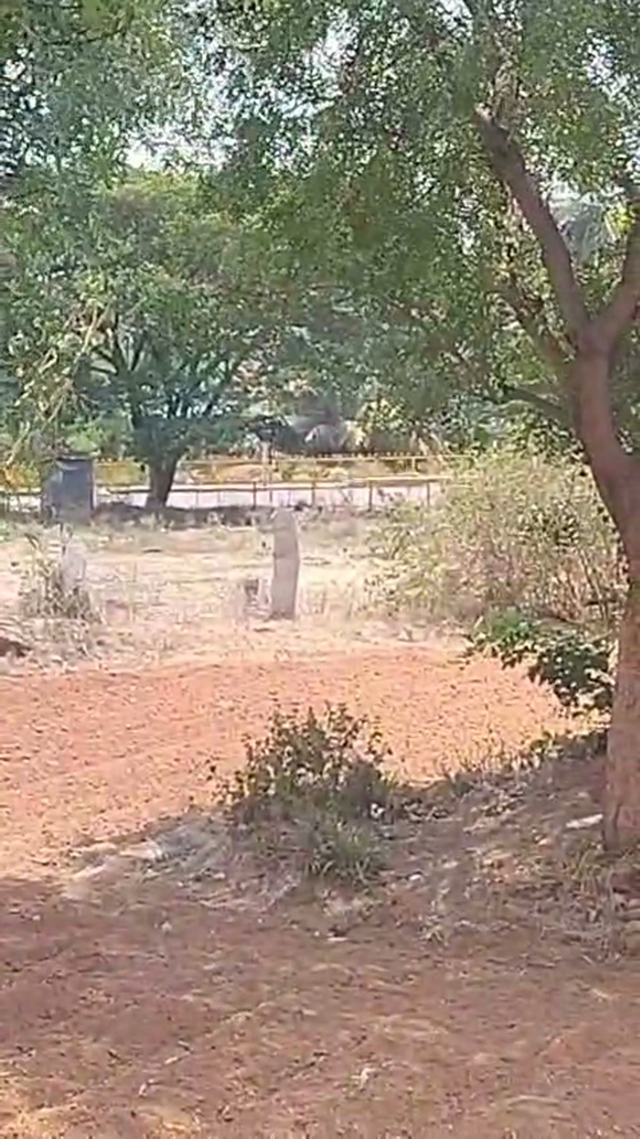2 Acre 36 Guntha Red Soil Farmland at Gidaganahalli, Manchenahalli