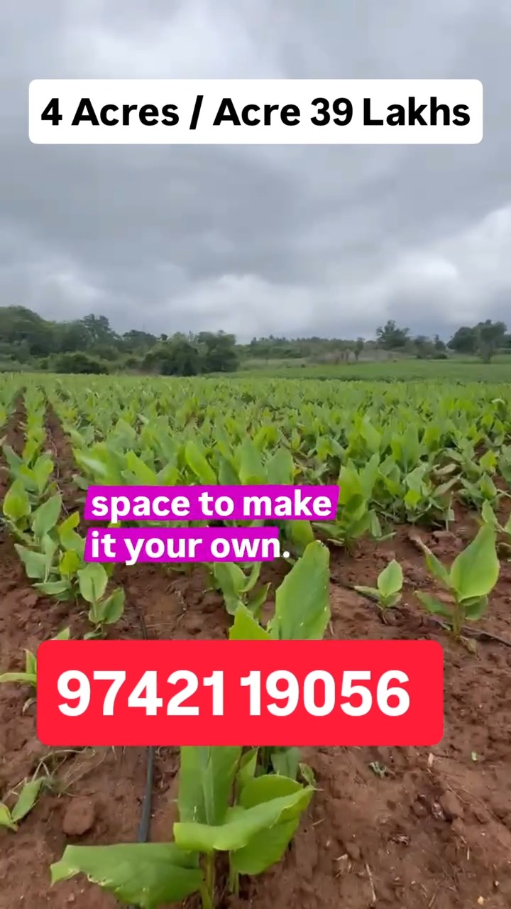 Rich Red Soil Agricultural Haven | 4 Acres, Begur, Karnataka