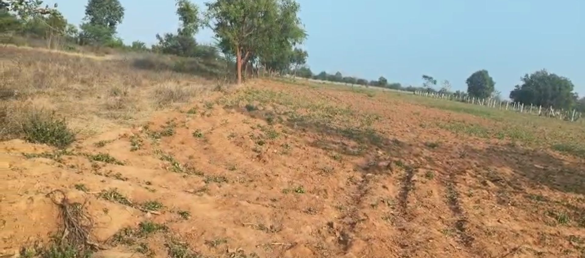 Land for Sale – Shinganahalli, Gauribidanur