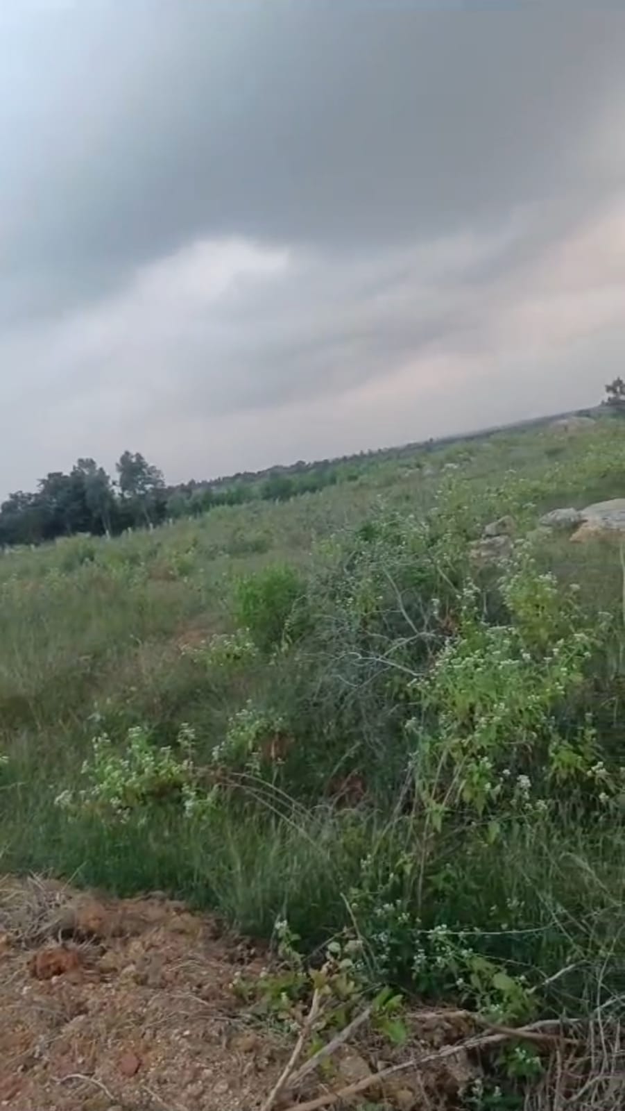 100 acres single piece on main road