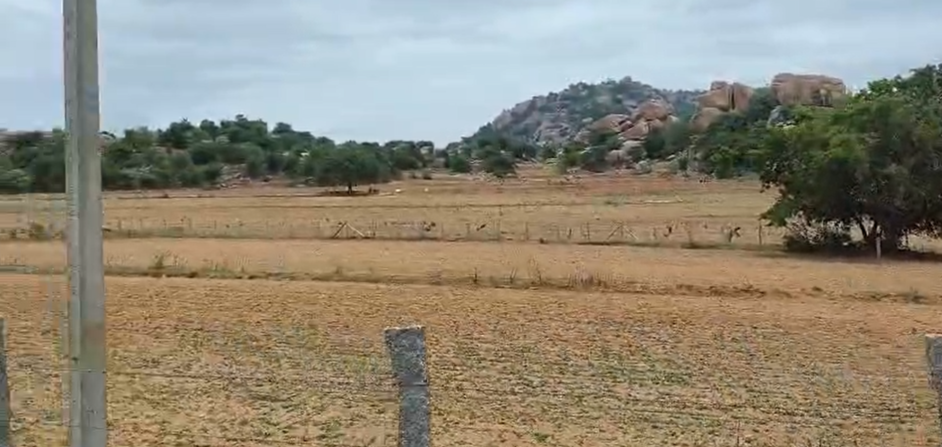 21 Acres General Property for Sale – Pavagada