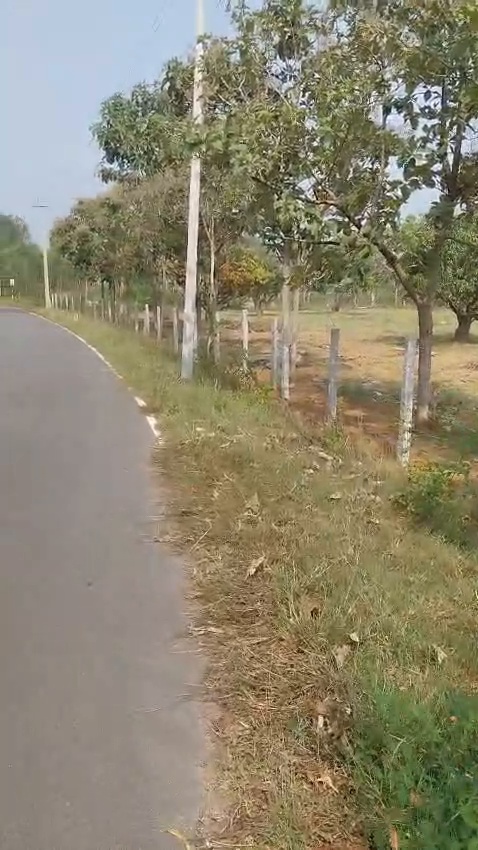 90 km from Bangalore city | 15 km from Maddur 10-acre mango farm with mature mango trees, complete fencing