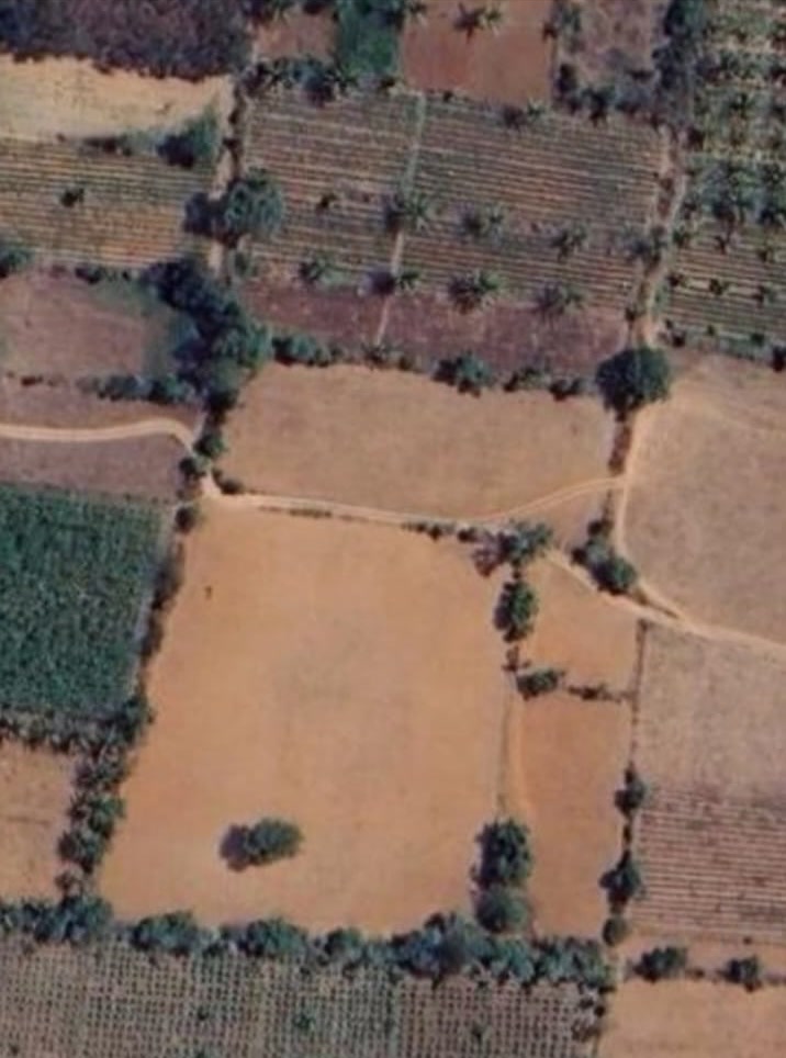 4 Acres Agricultural Land on Malavalli-Talakadu Road | Averahalli, Mandya