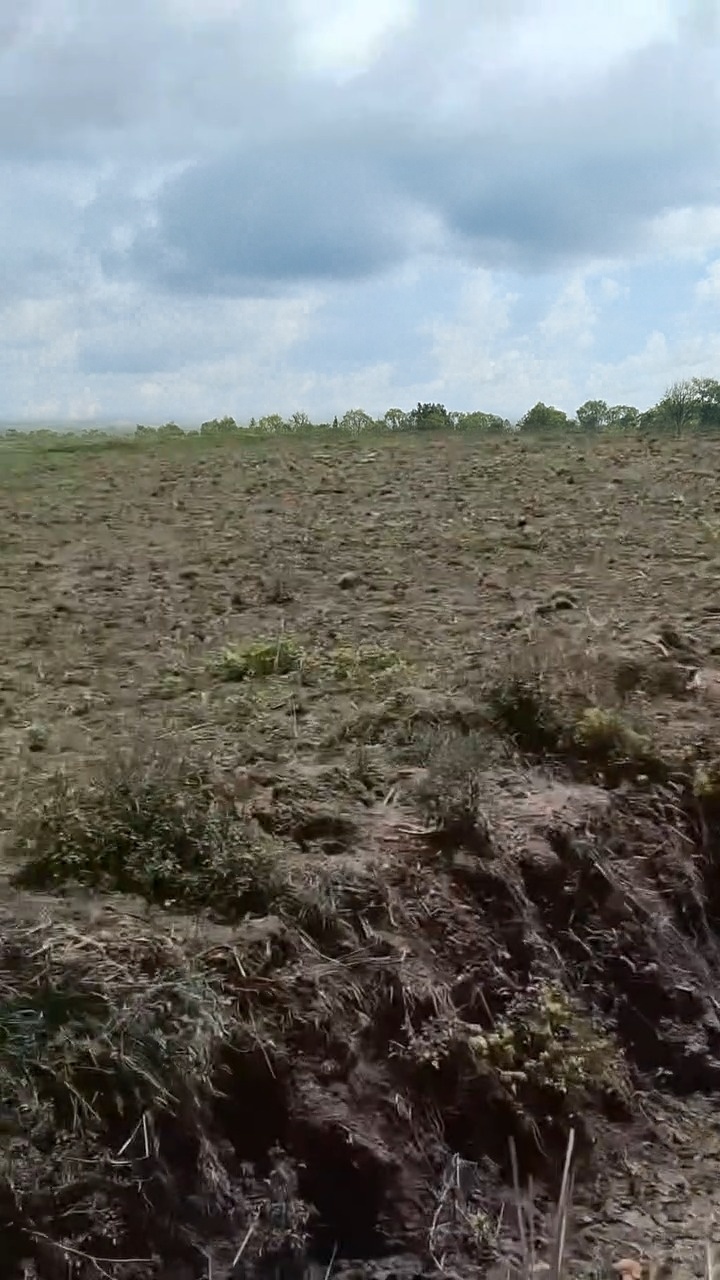 Expansive Agricultural Land in Serene Surroundings | 14 Acres, Halagi, Karnataka