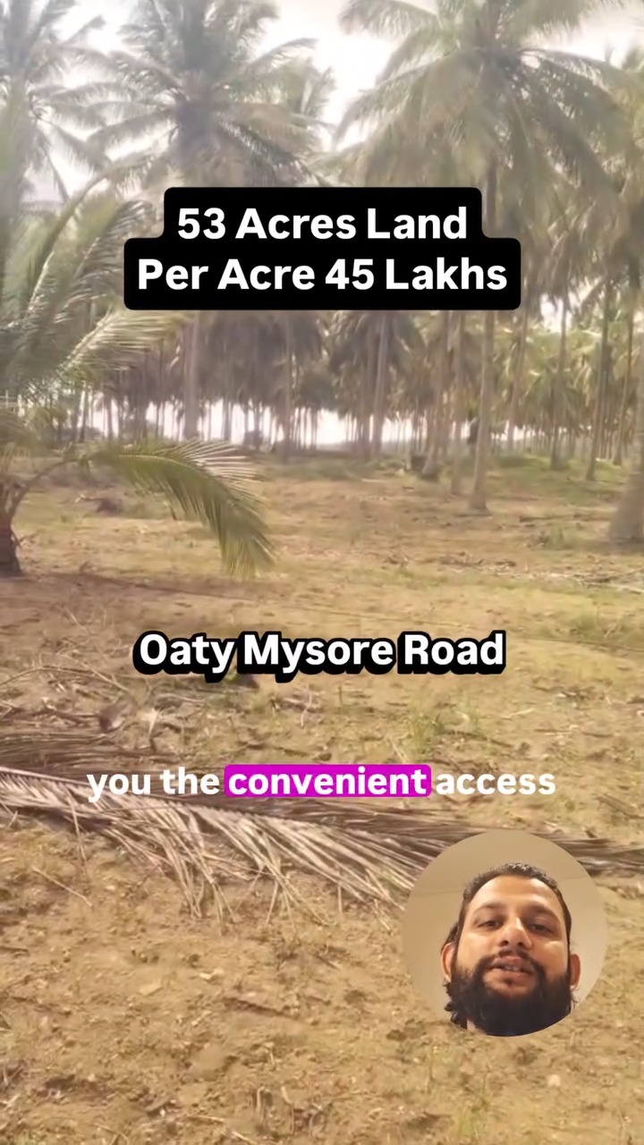 Vast Coconut Grove & Open Farmland | 53 Acres, Begur, Karnataka