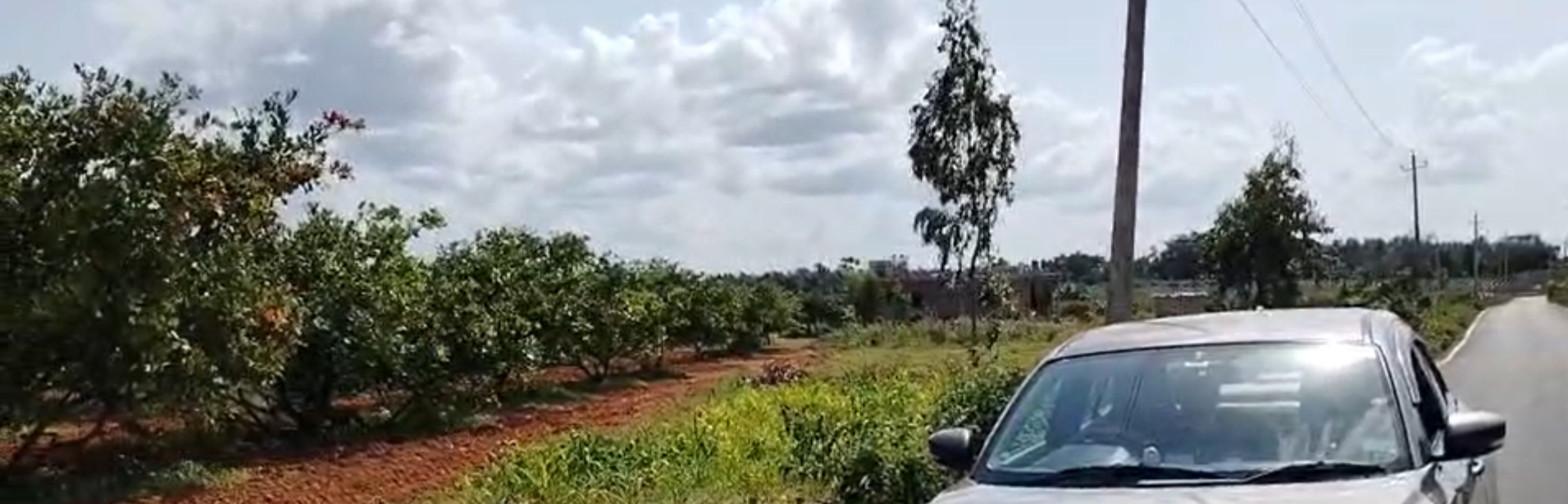 6 Acres Agricultural Land for Sale – Nandi Hills Road, Devanahalli