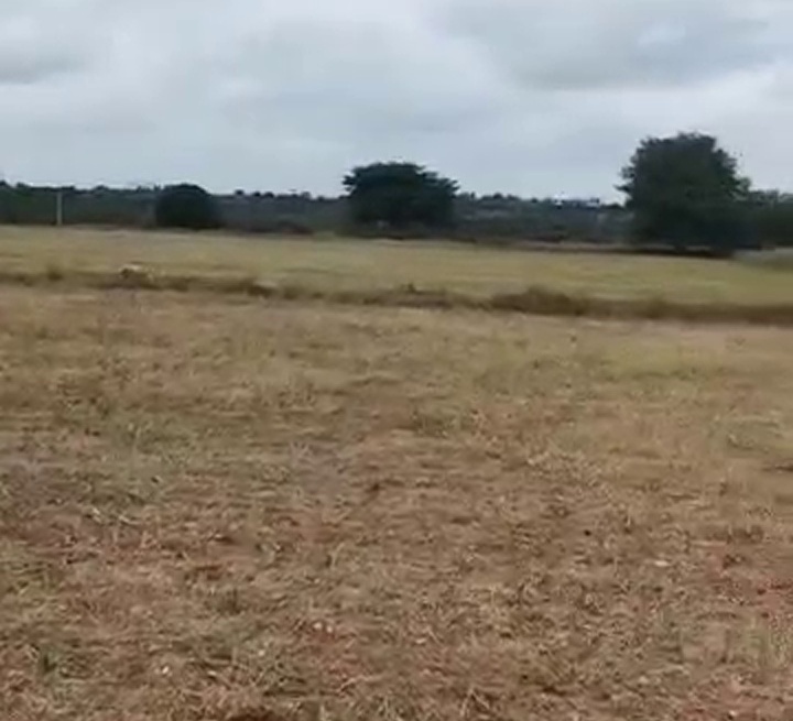 3 Acres Agricultural Land for Sale – Chamarajanagar, Karnataka